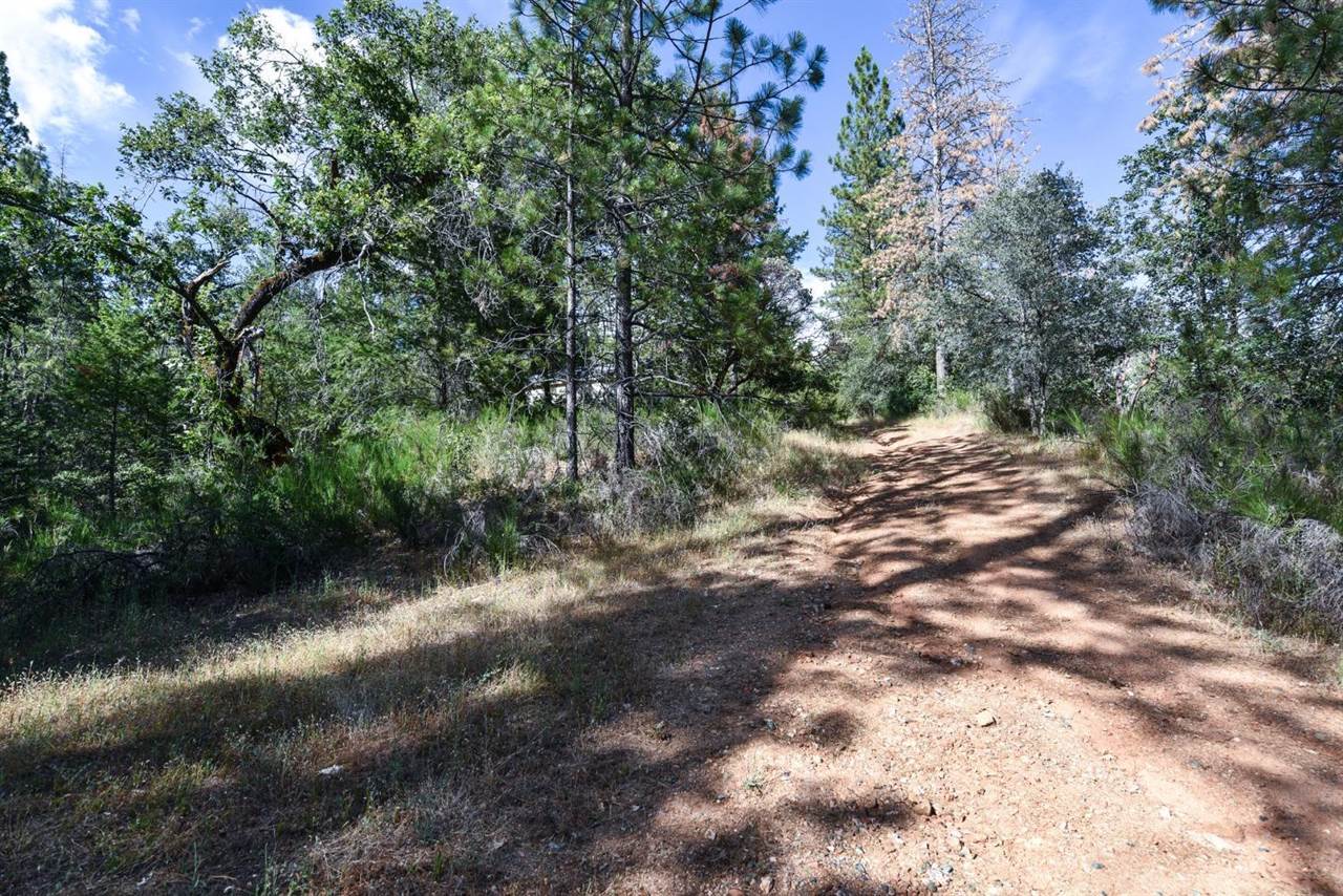 6500 Will Road, Placerville, CA 95667