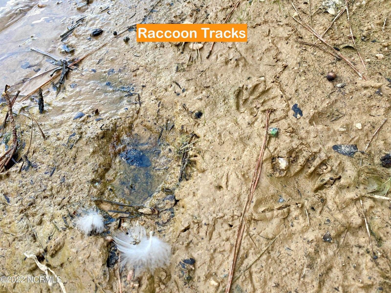 105 Palomino Road, Carthage, NC 28327