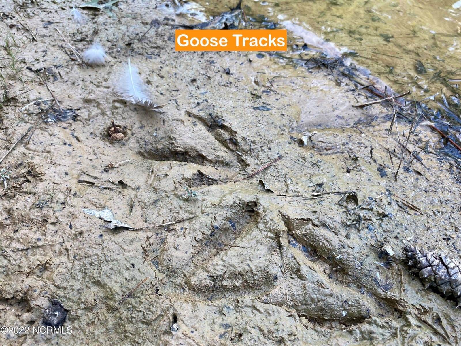 105 Palomino Road, Carthage, NC 28327