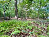 105 Palomino Road, Carthage, NC 28327