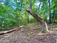 105 Palomino Road, Carthage, NC 28327