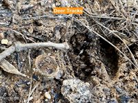 105 Palomino Road, Carthage, NC 28327