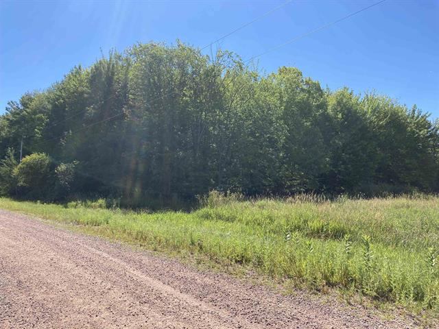 14 acres Walnut Lane, Vesper, WI 54489