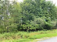 43 Acres 5TH AVENUE, Rudolph, WI 54475