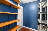 3806 North Tampa Street, Tampa, FL 33603