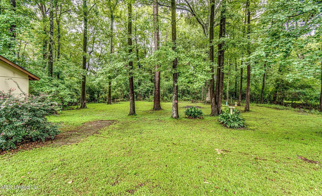 606 Treeline Drive, Brandon, MS 39042