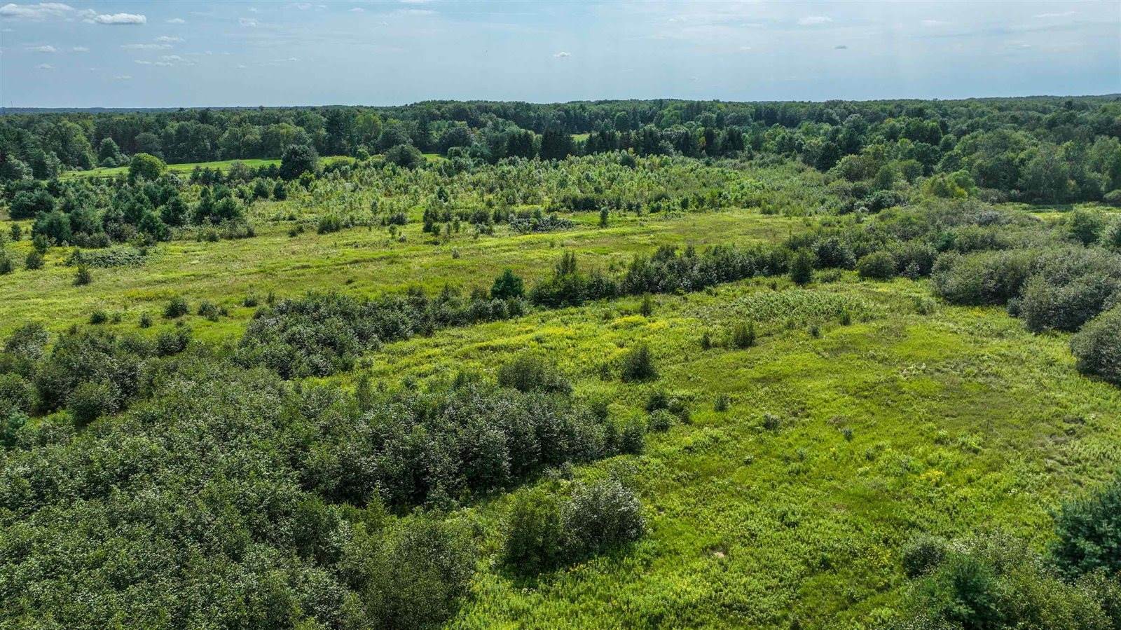 17.4 Acres RICHFIELD WOOD ROAD, Pittsville, WI 54466
