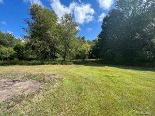 3603 Squirrel Run, Iosco Township, MI 48137