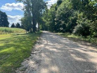 3603 Squirrel Run, Iosco Township, MI 48137