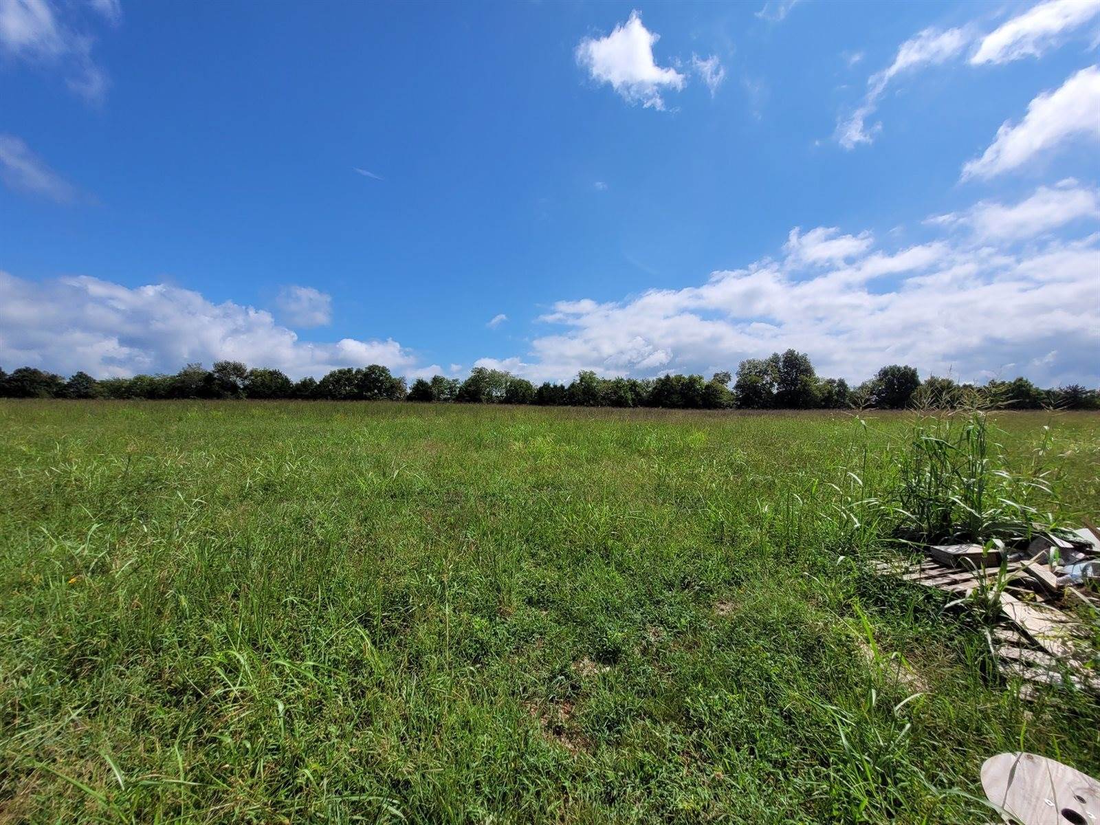 1310 Halls Mill Rd, Unionville, TN 37180