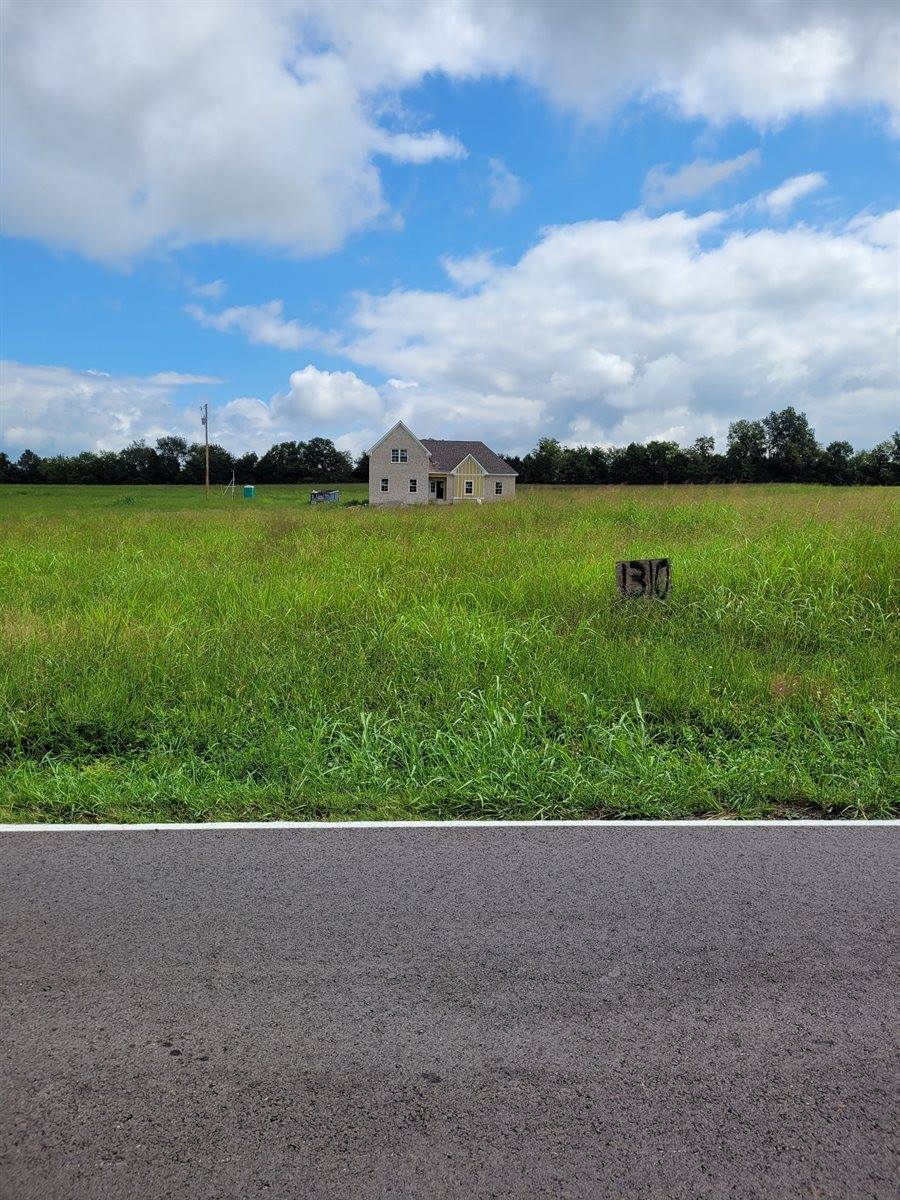 1310 Halls Mill Rd, Unionville, TN 37180