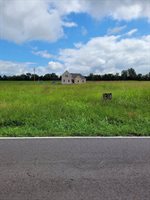 1310 Halls Mill Rd, Unionville, TN 37180