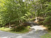 156 Canterbury Rd, Bushkill, PA 18324