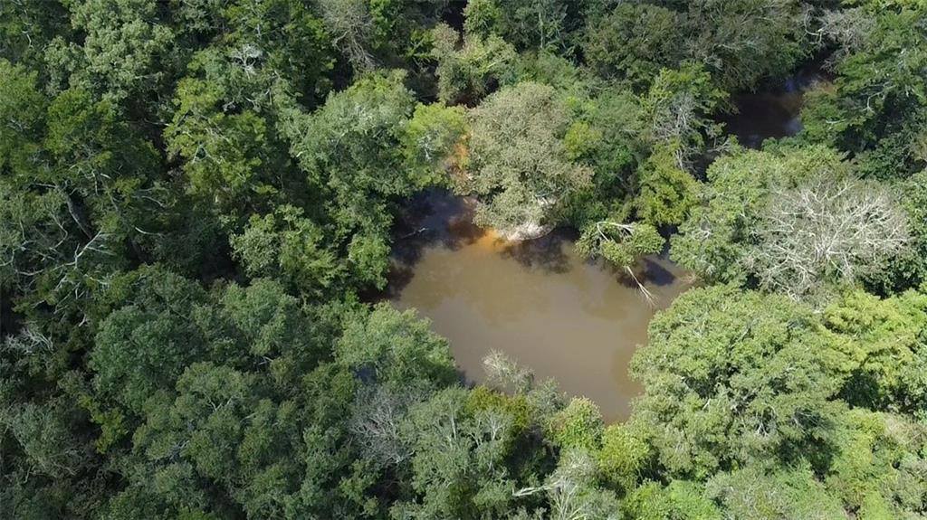 Lot 1 Park Lane, Folsom, LA 70437