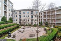 2465 Army Navy Drive, Arlington, VA 22206