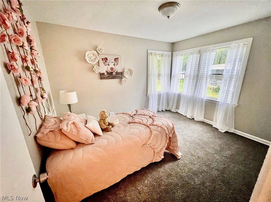 4036 Dover Road, Youngstown, OH 44511