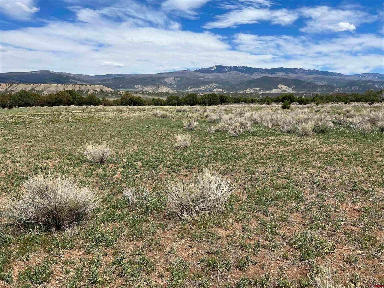 TBD Tract 2 County Rd 22, Montrose, CO 81403
