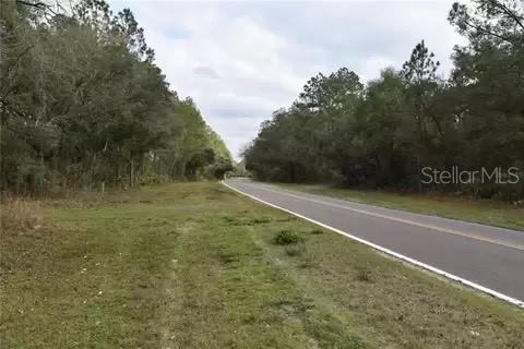 West County Road 232, Bell, FL 32619