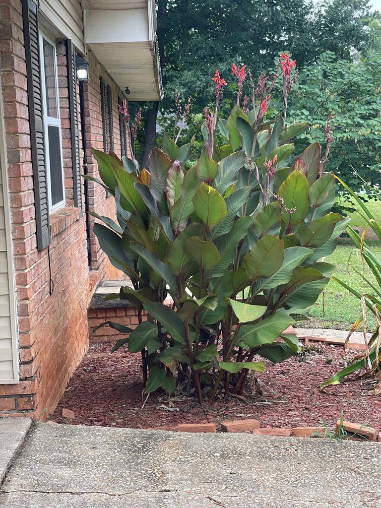 4303 Prado Drive, Columbus, GA 31903