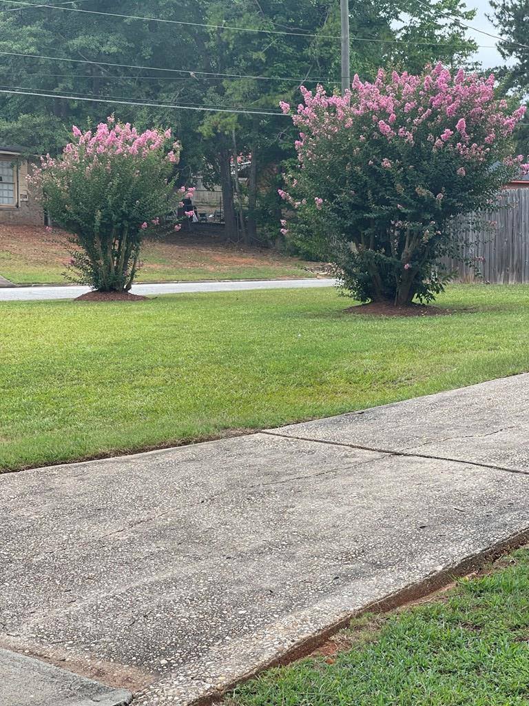 4303 Prado Drive, Columbus, GA 31903