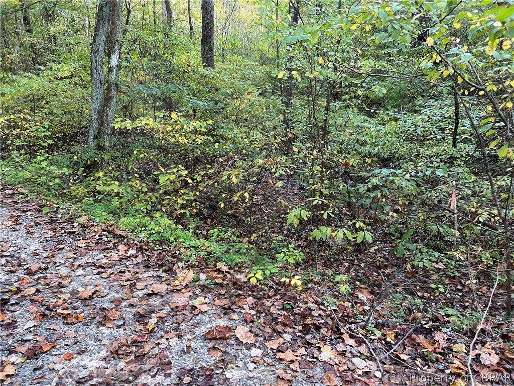 12+AC T. C. Walker Road, Gloucester County, VA 23061