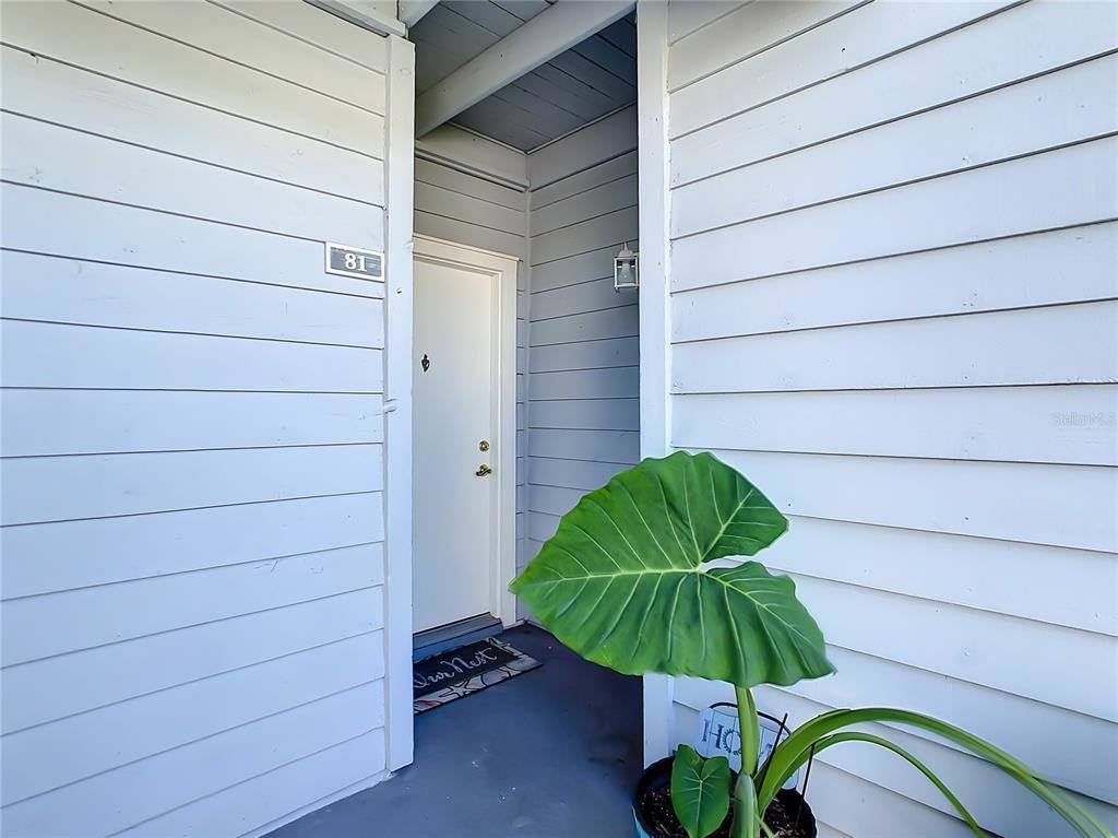 455 Alt 19 South, Palm Harbor, FL 34683