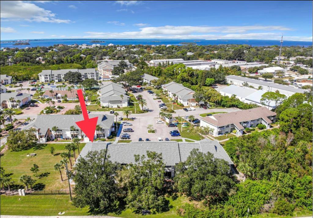 455 Alt 19 South, Palm Harbor, FL 34683