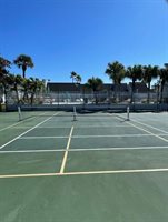 455 Alt 19 South, Palm Harbor, FL 34683