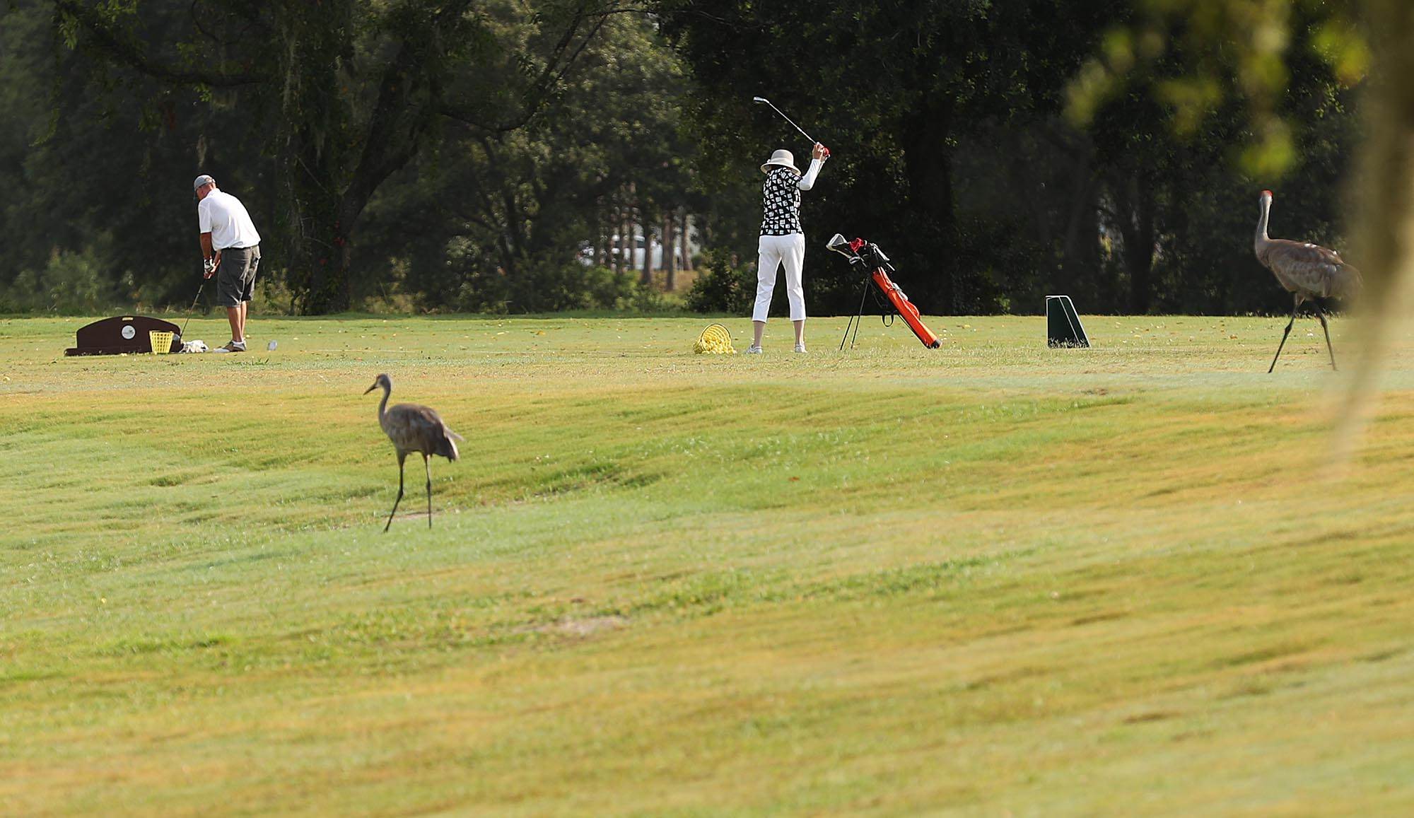 26950 White Plains Way, Leesburg, FL 34748