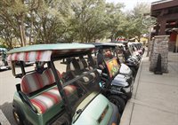 26950 White Plains Way, Leesburg, FL 34748