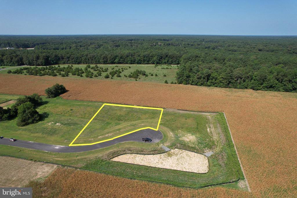 18675 Covey Court, Milton, DE 19968