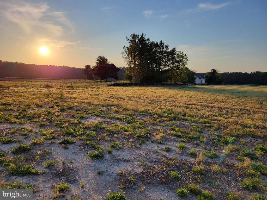 18675 Covey Court, Milton, DE 19968