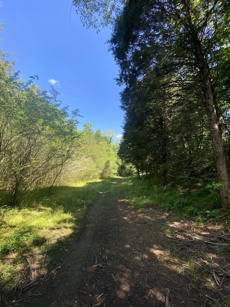 2410 Concord Church Rd. West, Columbia, TN 38401