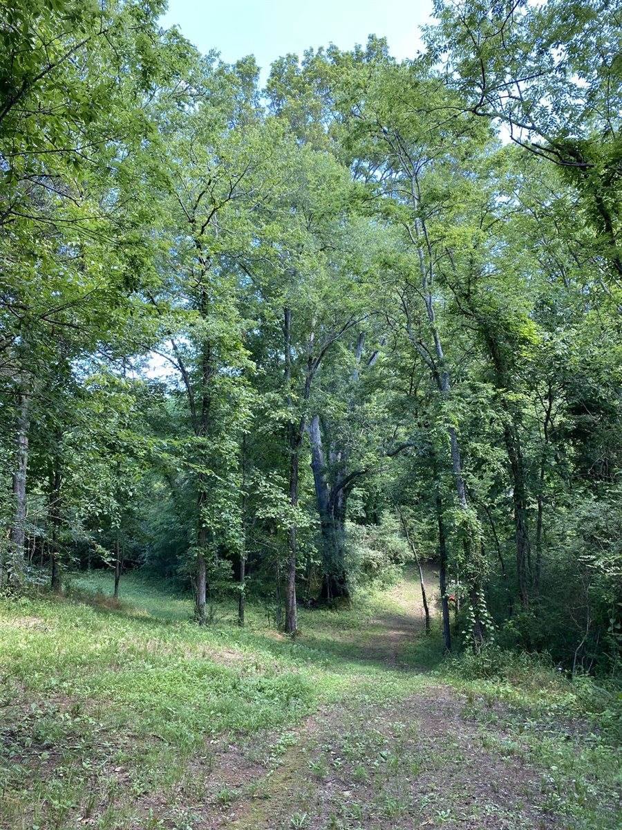 2410 Concord Church Rd. West, Columbia, TN 38401