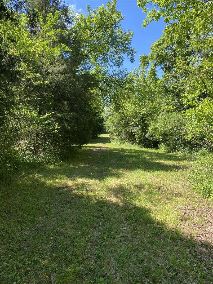 2410 Concord Church Rd. West, Columbia, TN 38401