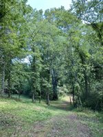 2410 Concord Church Rd. West, Columbia, TN 38401