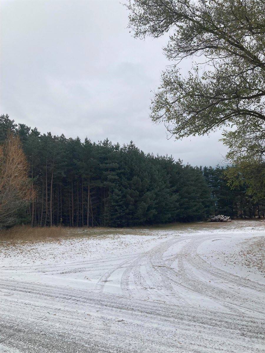 275 Columbia Meadows Drive, Columbia Falls, MT 59912