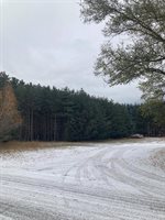 275 Columbia Meadows Drive, Columbia Falls, MT 59912