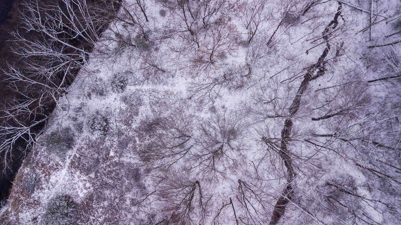 3331 Linwood Springs Road, Stevens Point, WI 54481