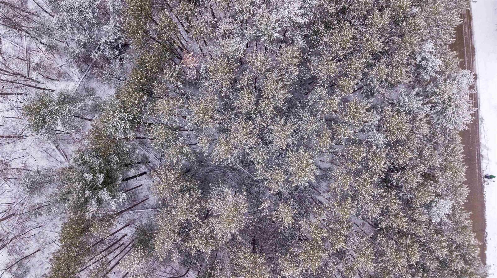 3331 Linwood Springs Road, Stevens Point, WI 54481