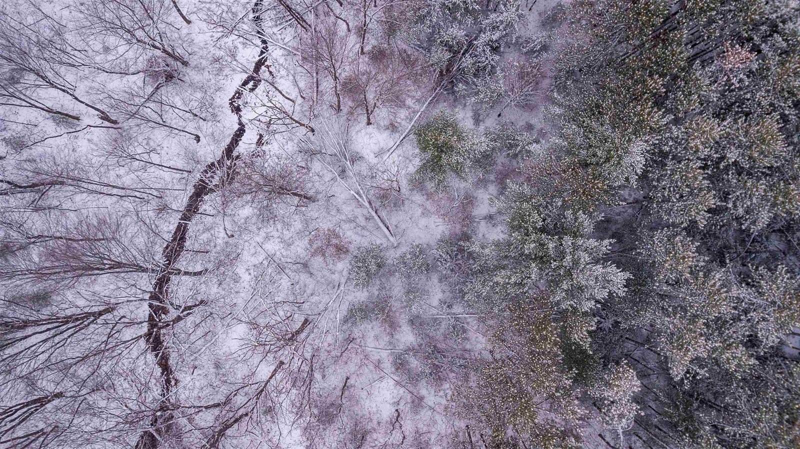 3331 Linwood Springs Road, Stevens Point, WI 54481