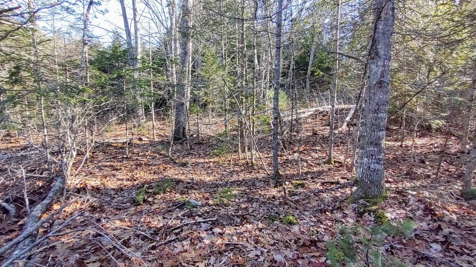 LOT 89 Leaches Point Road, Orland, ME 04472