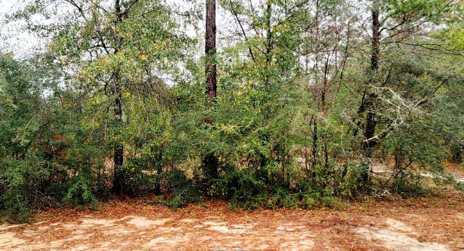 6002 Fiori Drive, Crestview, FL 32539