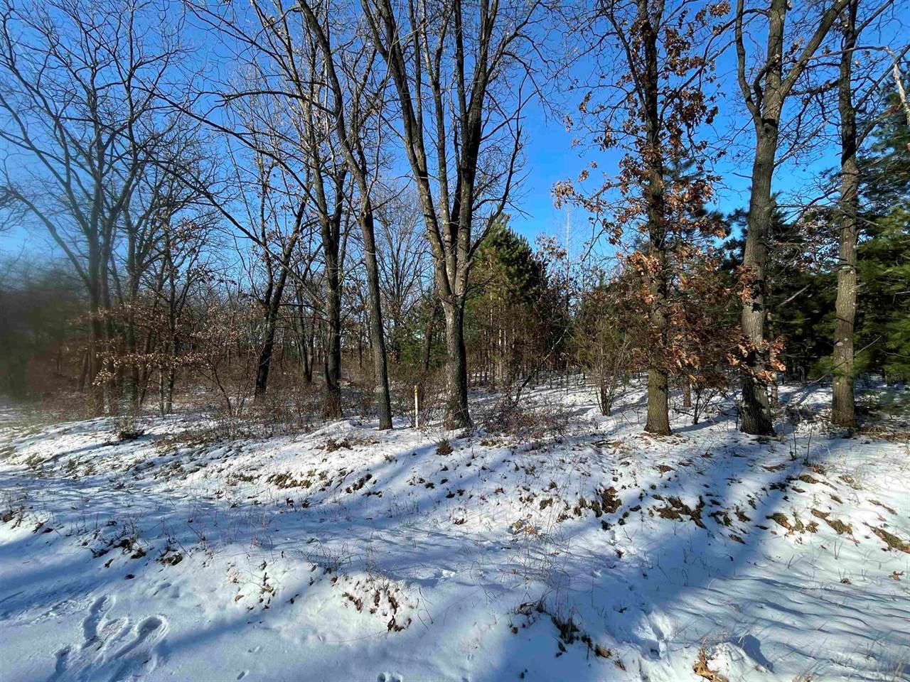 19.96 Acres CYPRESS AVENUE, Coloma, WI 54930