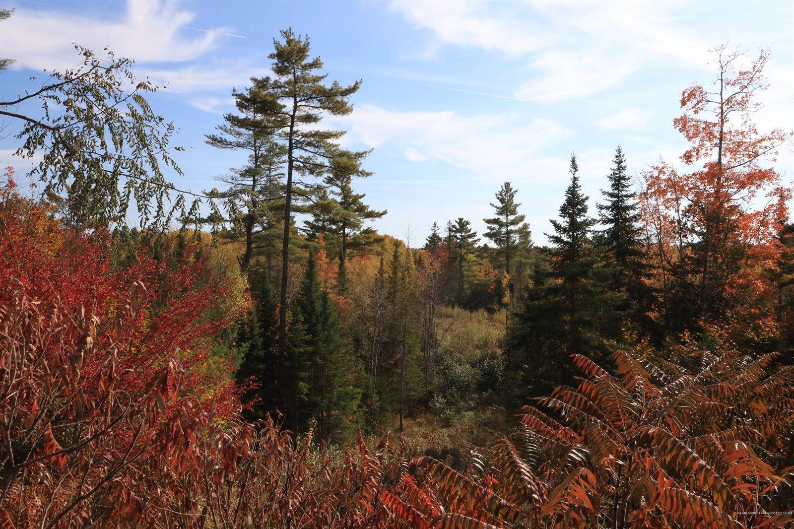 Lot # 16 Hemlock Ridge Drive, Hermon, ME 04401