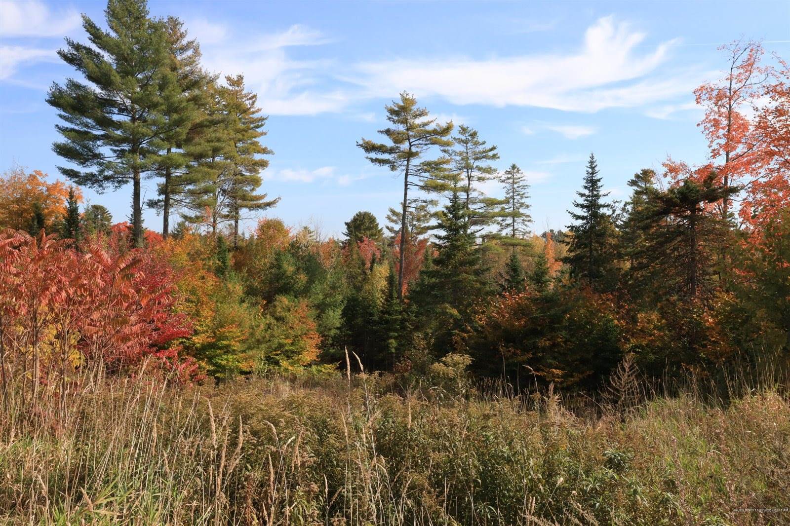 Lot # 16 Hemlock Ridge Drive, Hermon, ME 04401