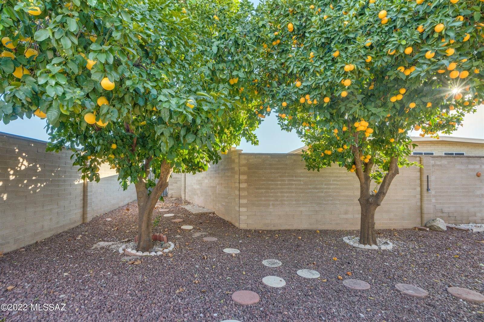 3001 South Brown Avenue, Tucson, AZ 85730