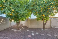 3001 South Brown Avenue, Tucson, AZ 85730