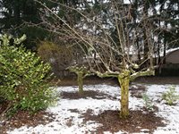 9310 Northwood Drive SE, Olympia, WA 98513