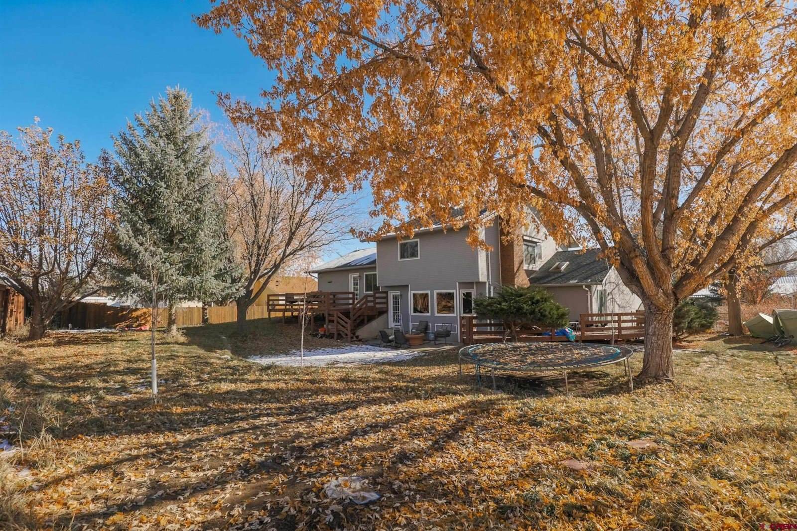 1641 Hermosa Court, Montrose, CO 81401